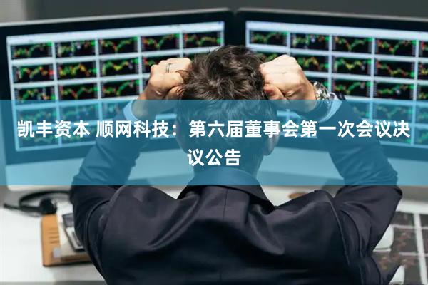 凯丰资本 顺网科技：第六届董事会第一次会议决议公告